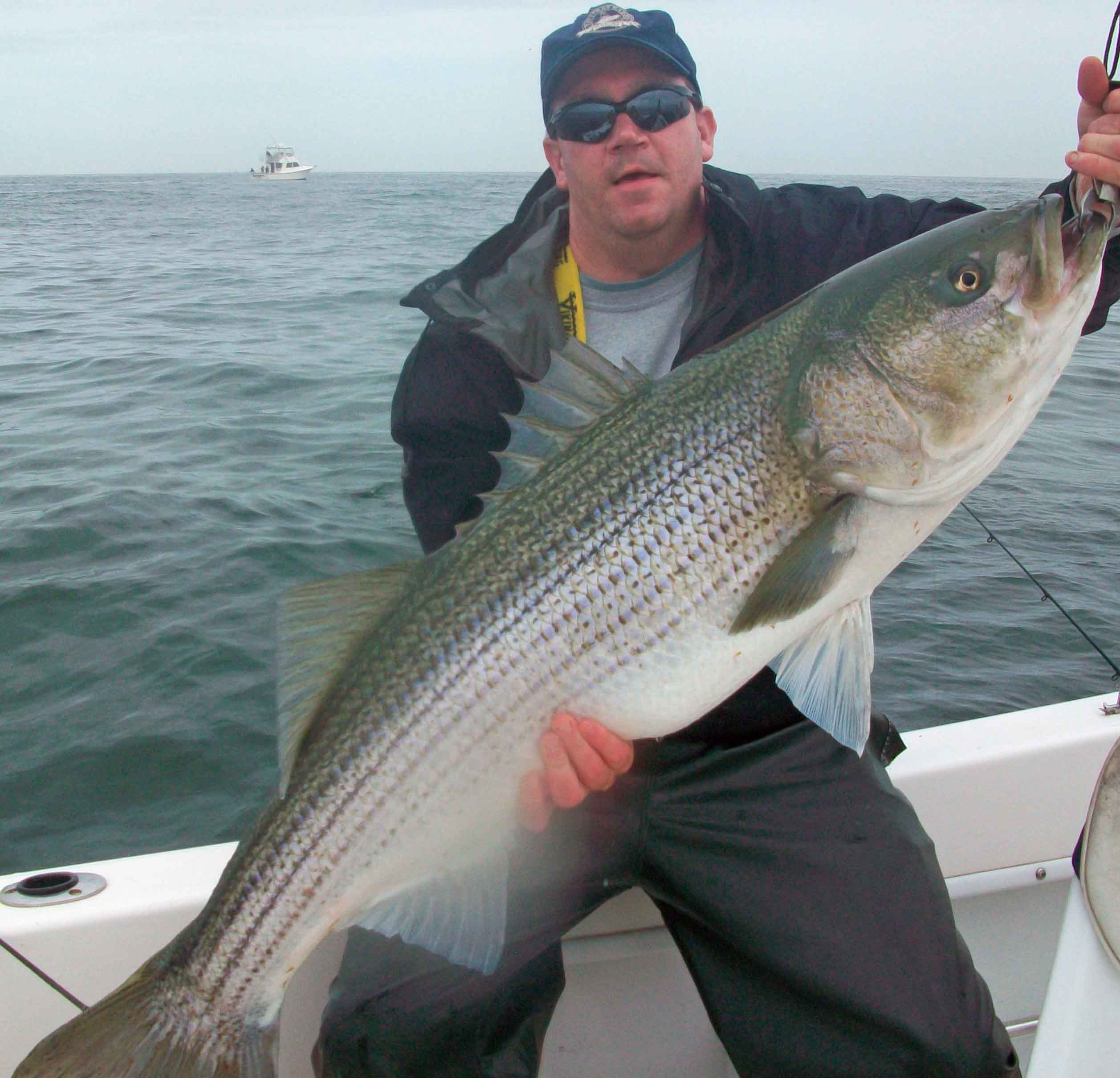 Atlantic City Striped Bass Fishing, Do AC, Brigantine Striped Bass Fishing, 